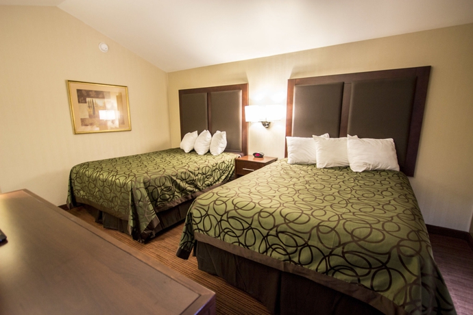 Imagen de la habitación del Hotel Econo Lodge University. Foto 9