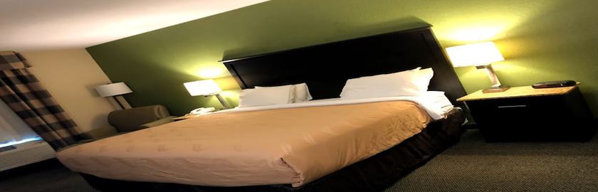 Imagen de la habitación del Hotel Econo Lodge Wesley Chapel I-75. Foto 4