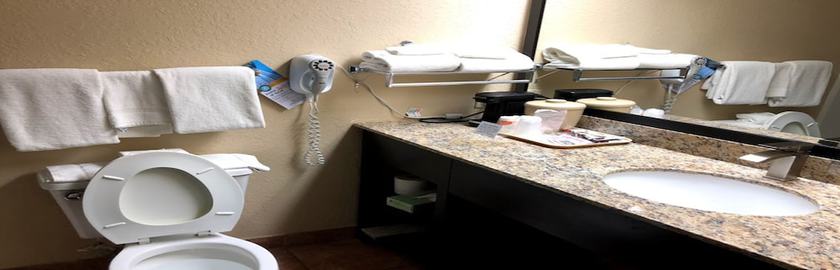 Imagen de la habitación del Hotel Econo Lodge Wesley Chapel I-75. Foto 5