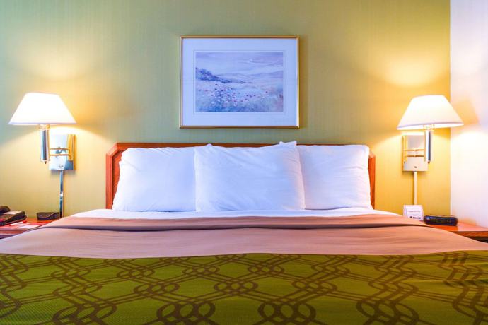 Imagen de la habitación del Hotel Econo Lodge, Willowbrook. Foto 9