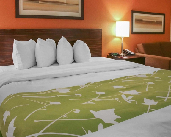 Imagen de la habitación del Hotel Econo Lodge Winnipeg South. Foto 13
