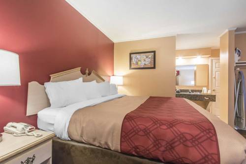 Imagen de la habitación del Hotel Econolodge Cornersville. Foto 3
