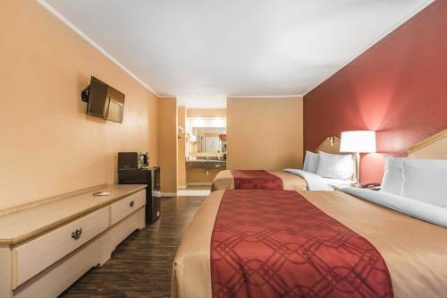 Imagen de la habitación del Hotel Econolodge Cornersville. Foto 7