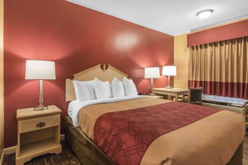 Imagen de la habitación del Hotel Econolodge Cornersville. Foto 13