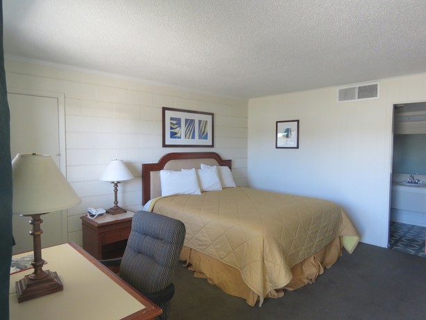 Imagen de la habitación del Hotel Economy Inn, Socorro. Foto 12