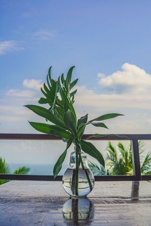 Imagen de la habitación del Hotel Ecotao Lodge. Foto 22