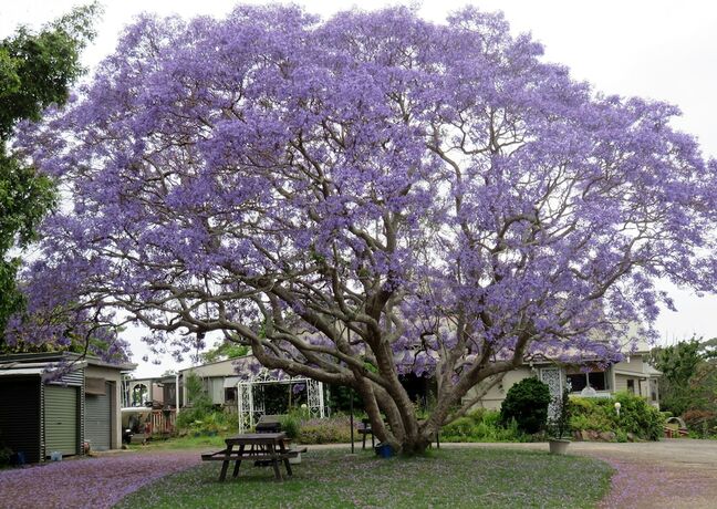 Imagen general del Hotel Ecotel Narooma. Foto 2