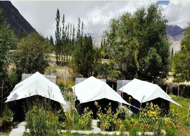 Imagen general del Hotel Edel Weiss Camp. Foto 5