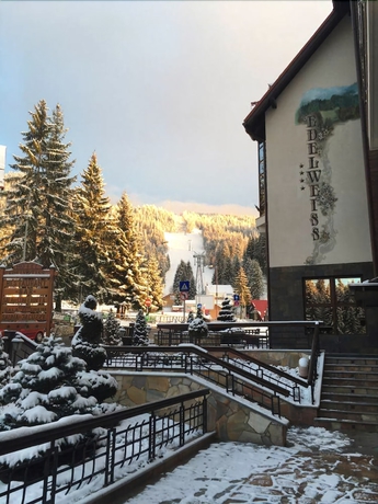 Imagen general del Hotel Edelweiss, Brasov. Foto 1