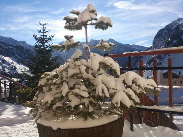 Imagen general del Hotel Edelweiss Candanchu. Foto 5