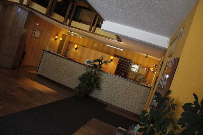 Imagen general del Hotel Edelweiss Candanchu. Foto 6