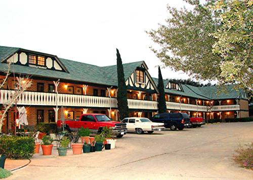 Imagen de la habitación del Hotel Edelweiss Inn New Braunfels. Foto 2