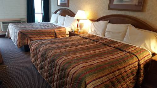 Imagen de la habitación del Hotel Edelweiss Inn New Braunfels. Foto 8