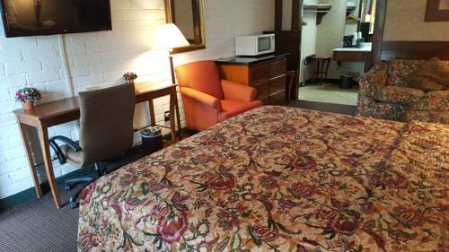 Imagen de la habitación del Hotel Edelweiss Inn New Braunfels. Foto 11