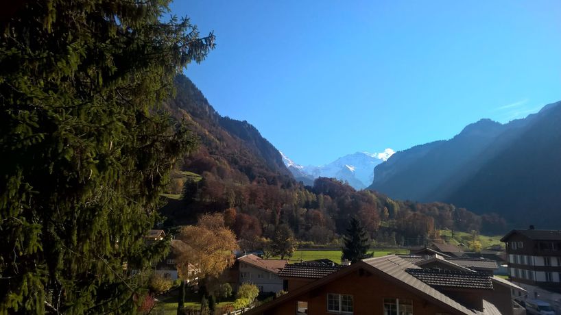 Imagen del bar/restaurante del Hotel Edelweiss Lodge, WILDERSWIL. Foto 3