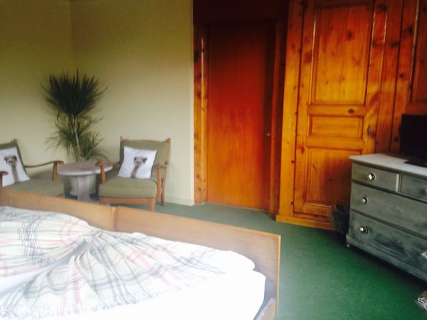 Imagen de la habitación del Hotel Edelweiss Lodge, WILDERSWIL. Foto 16