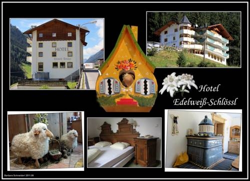 Imagen general del Hotel Edelweiss Schl&ouml;ssl. Foto 25