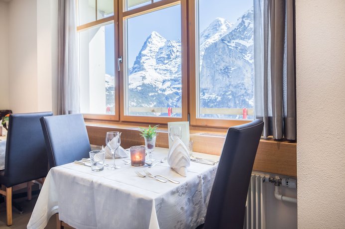 Imagen general del Hotel Edelweiss Superior. Foto 1