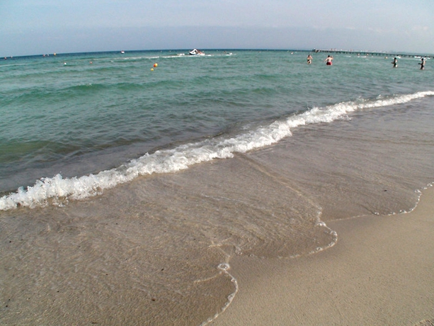 Imagen general del Hotel Eden Alcudia. Foto 5