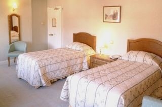Imagen de la habitación del Hotel Eden Arms. Foto 6