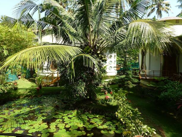 Imagen de la habitación del Hotel Eden Garden, Varkala. Foto 2