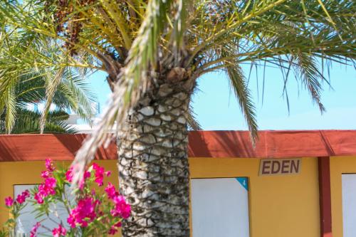 Imagen general del Hotel Eden, Grottammare. Foto 6