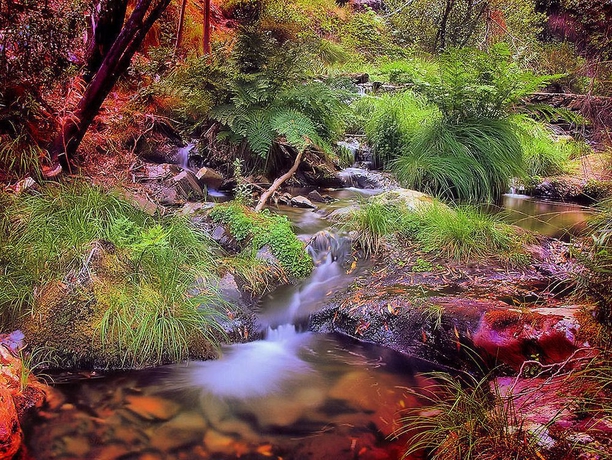 Imagen de los exteriores del Hotel Eden, Luso. Foto 9