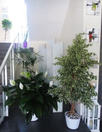 Imagen de los interiores del Hotel Eden Park Cilento. Foto 18