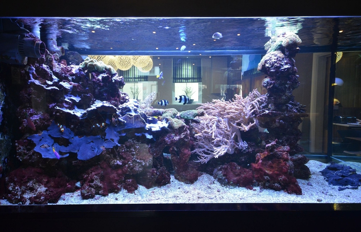 Imagen de los interiores del Hotel Eden Plaza Kensington. Foto 10