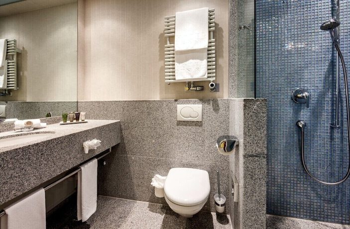 Imagen de la habitación del Hotel Eden Roc, Ascona. Foto 5