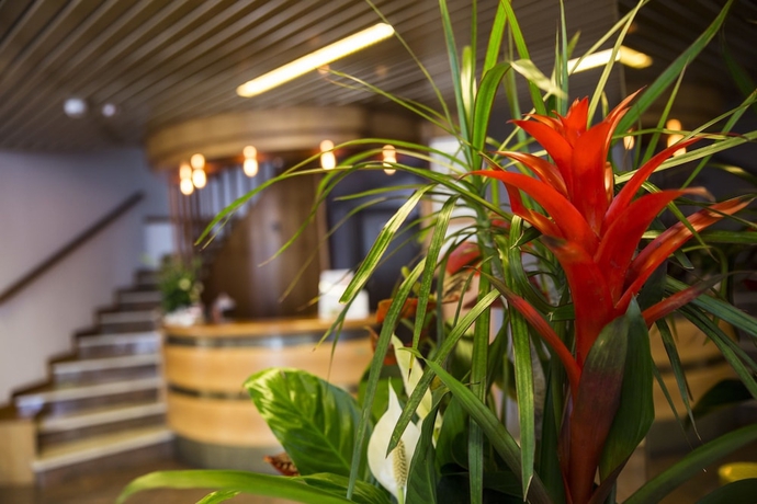 Imagen de los interiores del Hotel Eden, Vigole. Foto 18