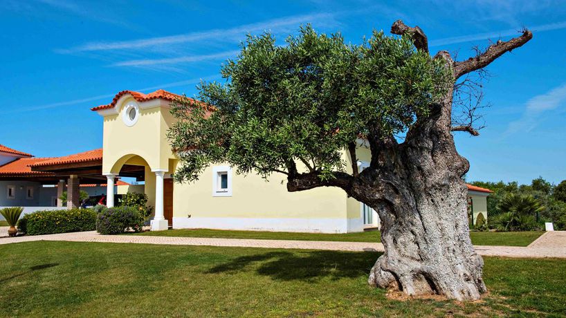 Imagen de los exteriores del Hotel Eden Villas & Apartments. Foto 14