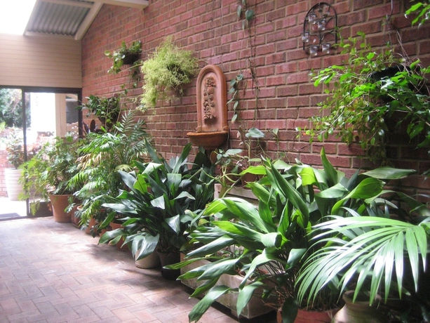 Imagen de los interiores del Hotel Edge of the Forest. Foto 19