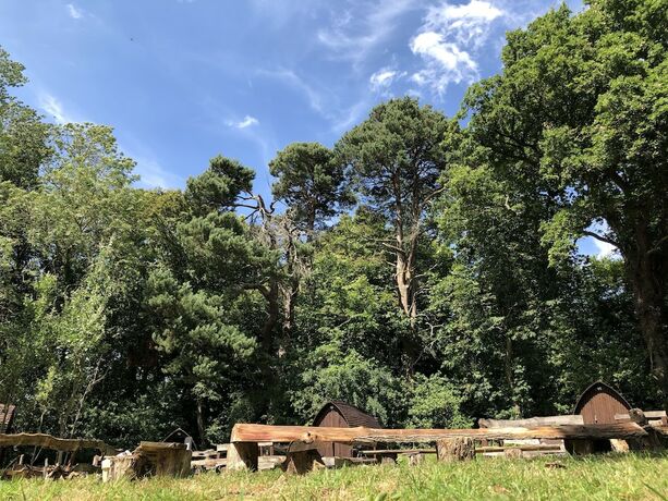 Imagen general del Hotel Edinburgh Cabin Camping. Foto 5