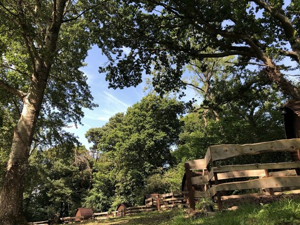 Imagen general del Hotel Edinburgh Cabin Camping. Foto 6