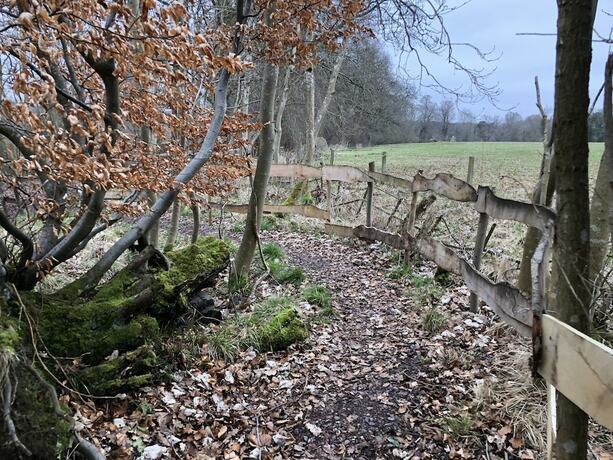 Imagen general del Hotel Edinburgh Cabin Camping. Foto 8