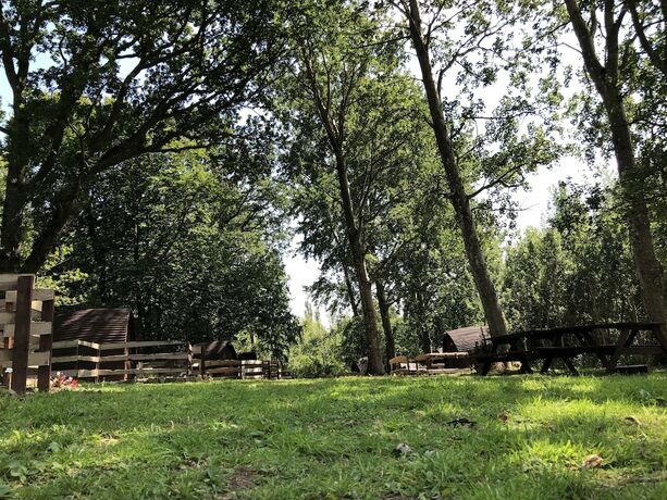 Imagen general del Hotel Edinburgh Cabin Camping. Foto 16