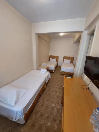 Imagen general del Hotel Edirne Park Otel. Foto 7