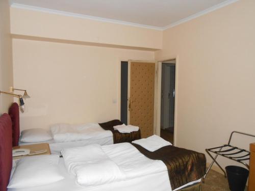 Imagen general del Hotel Edirne Park Otel. Foto 15