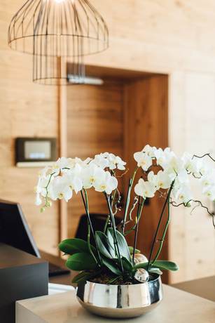 Imagen de los interiores del Hotel Edita. Foto 20