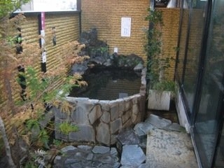 Imagen general del Hotel Edoya. Foto 2