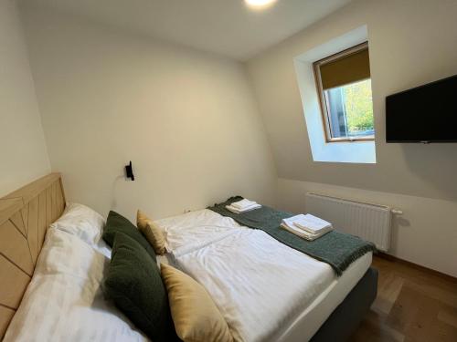 Imagen general del Hotel Edvard. Foto 5