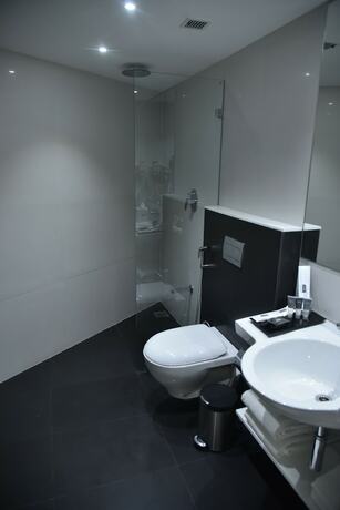 Imagen general del Hotel Effotel By Sayaji Vadodara. Foto 14