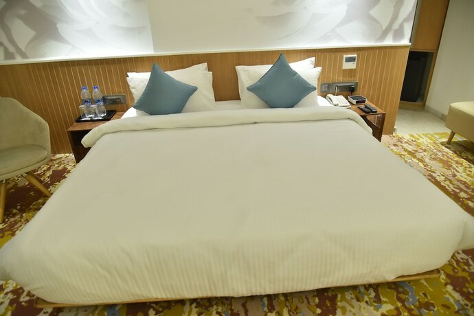 Imagen general del Hotel Effotel By Sayaji Vadodara. Foto 15