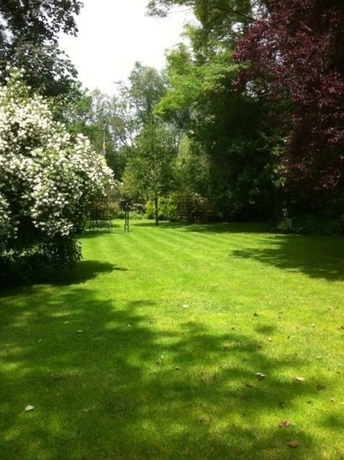 Imagen de los exteriores del Hotel Egypt Mill. Foto 12