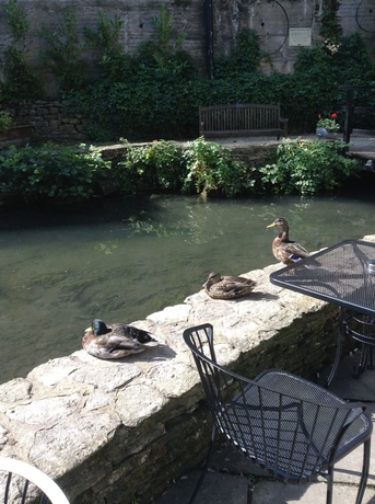 Imagen de los exteriores del Hotel Egypt Mill. Foto 13