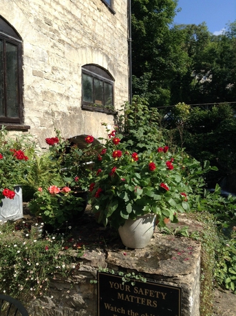 Imagen de los exteriores del Hotel Egypt Mill. Foto 15