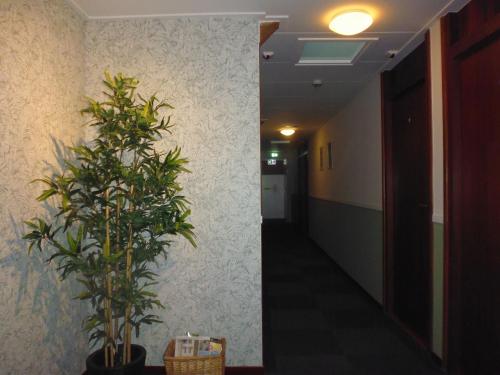 Imagen general del Hotel Eilandhotel Texel - Nieuw geopend hotel. Foto 3