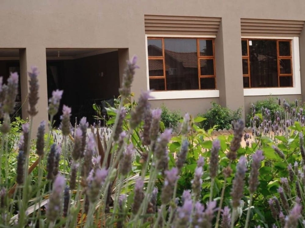 Imagen general del Hotel Ein Gedi Premier Lodge. Foto 2