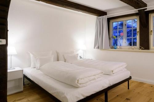 Imagen general del Hotel Einzigartig - Das Kleine Im Wasserviertel. Foto 3